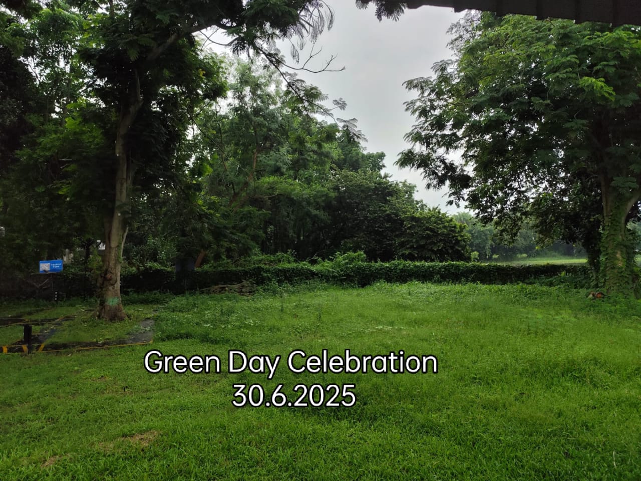 Green Day Celebration – 2025