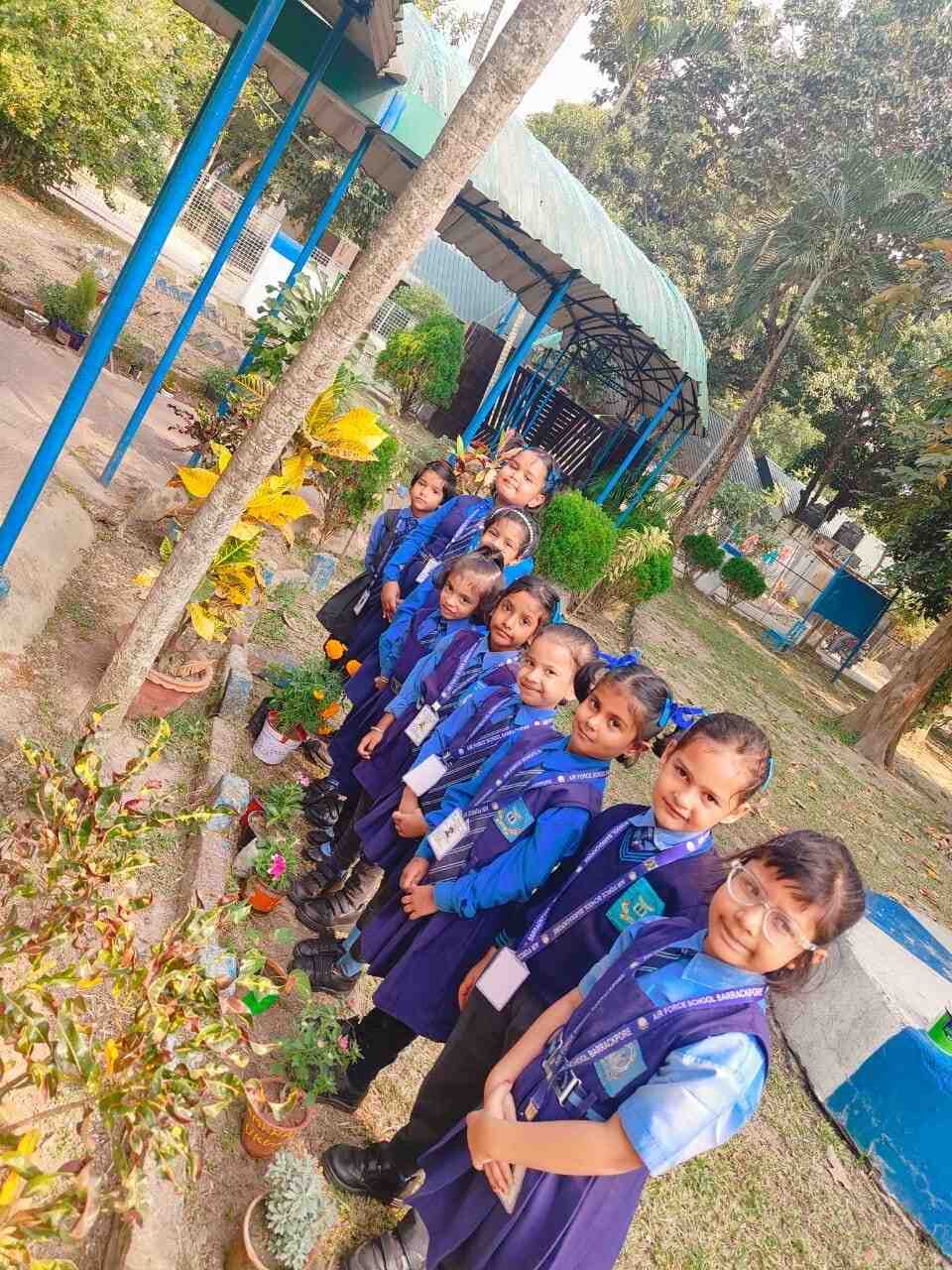 Tree Plantation Day