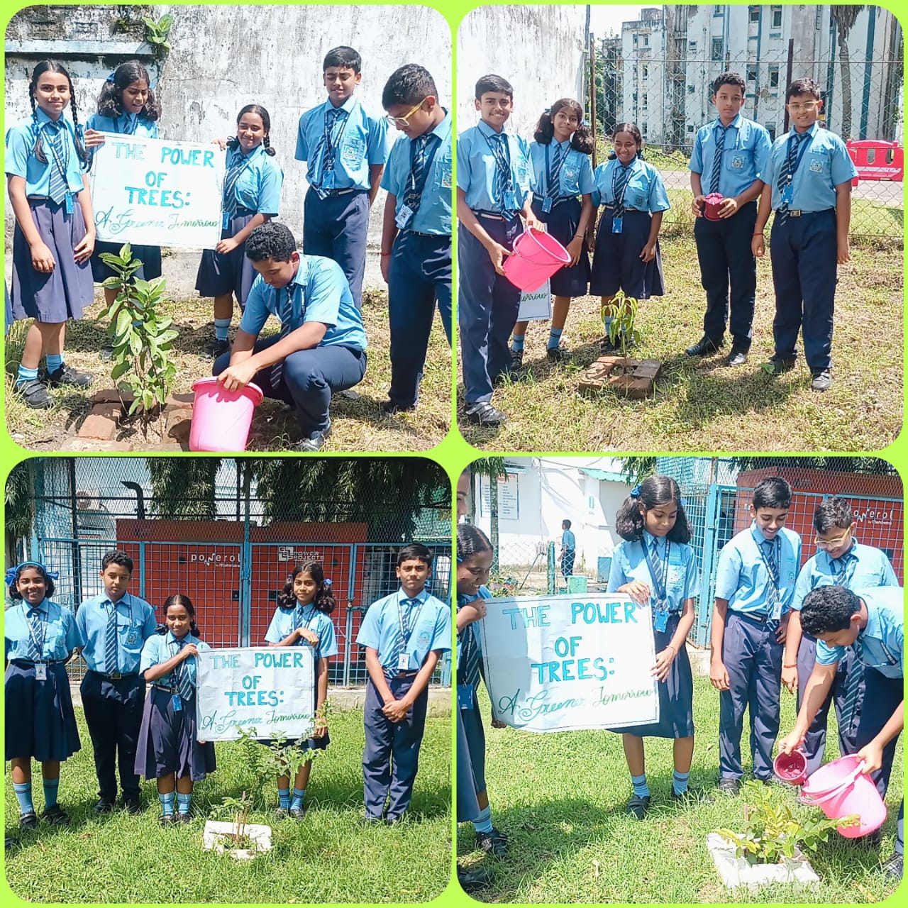 Tree Plantation 